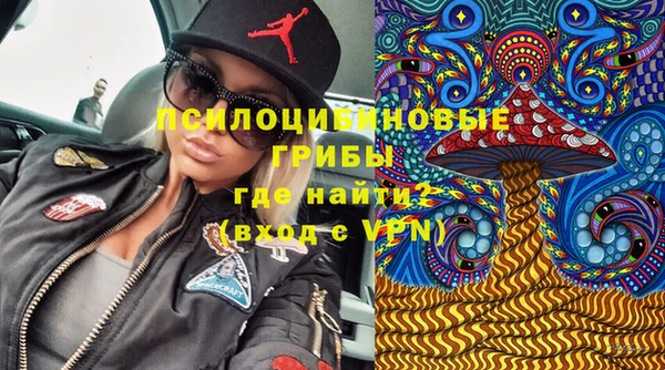 сатива Белокуриха