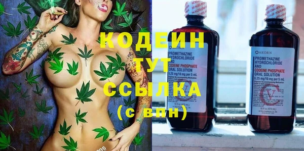 ГАЛЛЮЦИНОГЕННЫЕ ГРИБЫ Баксан