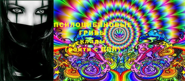 прущие крисы Балахна