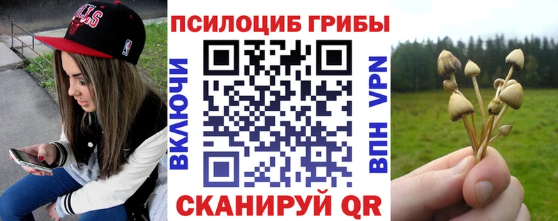 Галлюциногенные грибы мицелий  Ногинск 