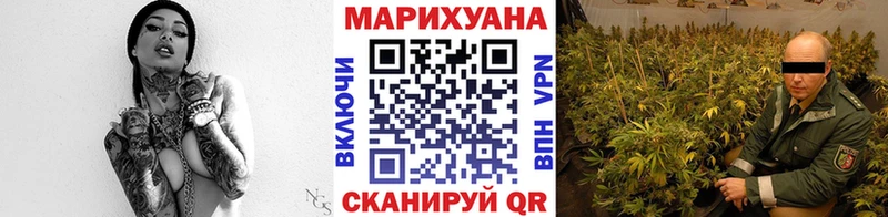 Каннабис конопля Ногинск